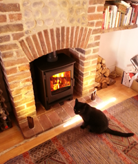 Broseley Ignite 5 multi-fuel stove