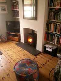 Saltfire ST2 stove in Gardener Street Portslade