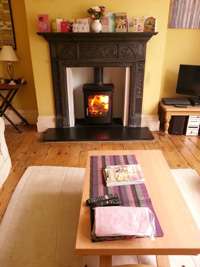 Town and Country Rosedale 7.5kW stove in Hove